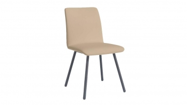 art 55.270-Chair2