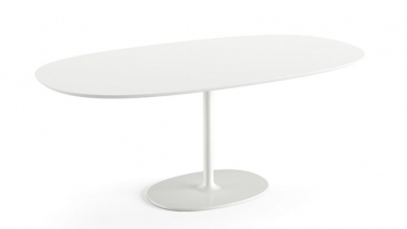 ovale tafel met centrale kolom - art 15.06xx